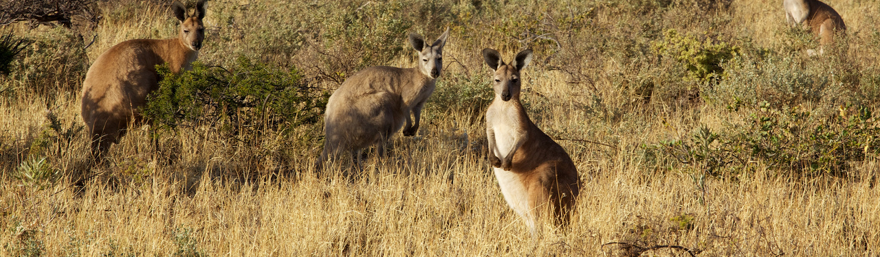 CC BY-NC 2.0 by Duncan Rawlinson