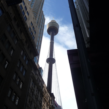 Look at the Sydney Tower Look at the Sydney Tower