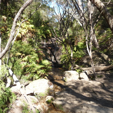 A small side waterfall right above Wentworth Falls A small side waterfall right above Wentworth Falls