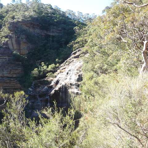 The Wentworth Falls The Wentworth Falls