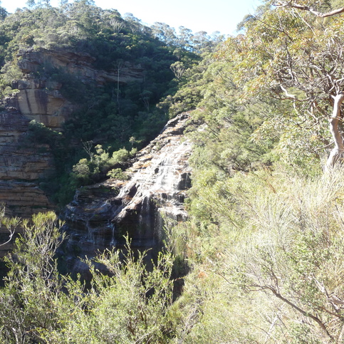 The Wentworth Falls The Wentworth Falls