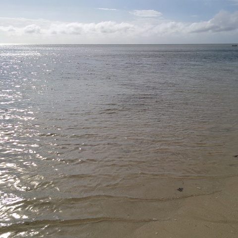 Green Island Green Island