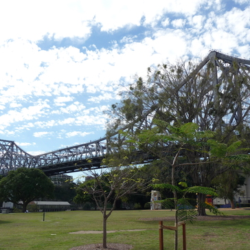 The Story Bridge