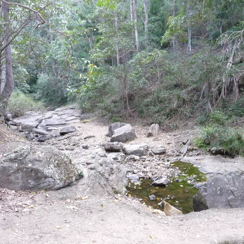 Track to Mount Coot-tha lookout Track to Mount Coot-tha lookout