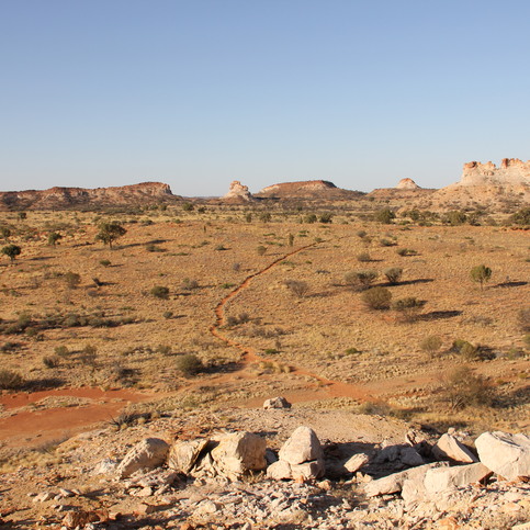 View from Chambers Pillar View from Chambers Pillar