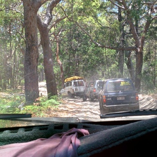 On the way to Lake McKenzie On the way to Lake McKenzie