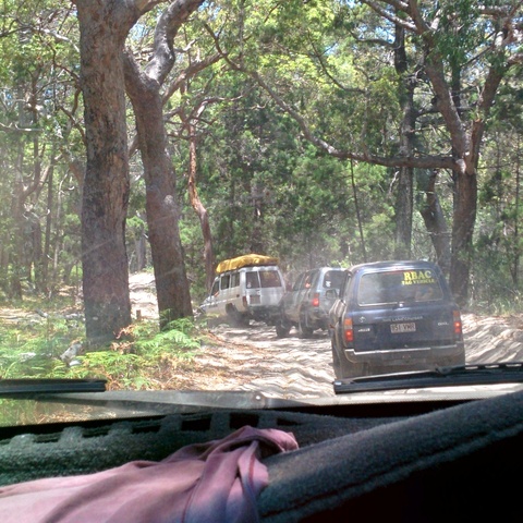 On the way to Lake McKenzie On the way to Lake McKenzie