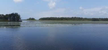 Kayaking in the Noosa Everglades