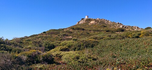 The conference island — DjangoCon Europe 2014