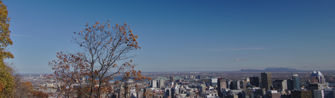 Oh, I Found a Security Issue